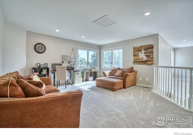 920 Palomino Way, Windsor, CO 80550 - photo 9