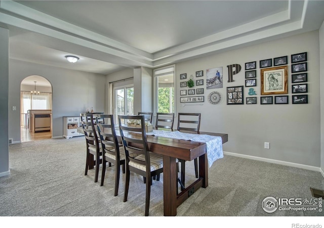 920 Palomino Way, Windsor, CO 80550 - photo 12