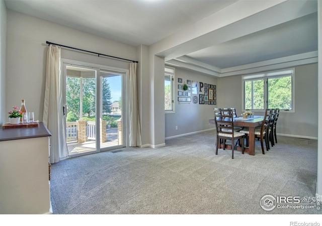 920 Palomino Way, Windsor, CO 80550 - photo 13