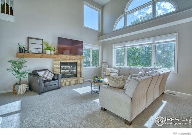 920 Palomino Way, Windsor, CO 80550 - photo 16