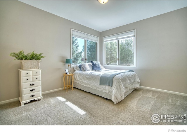 920 Palomino Way, Windsor, CO 80550 - photo 18