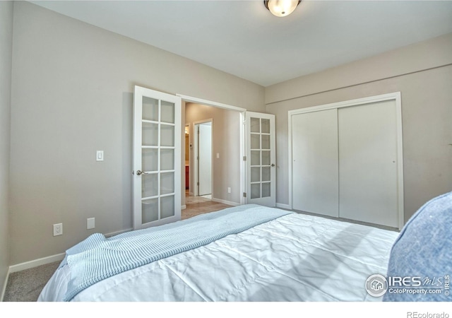 920 Palomino Way, Windsor, CO 80550 - photo 19