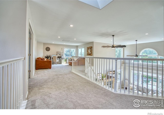 920 Palomino Way, Windsor, CO 80550 - photo 21