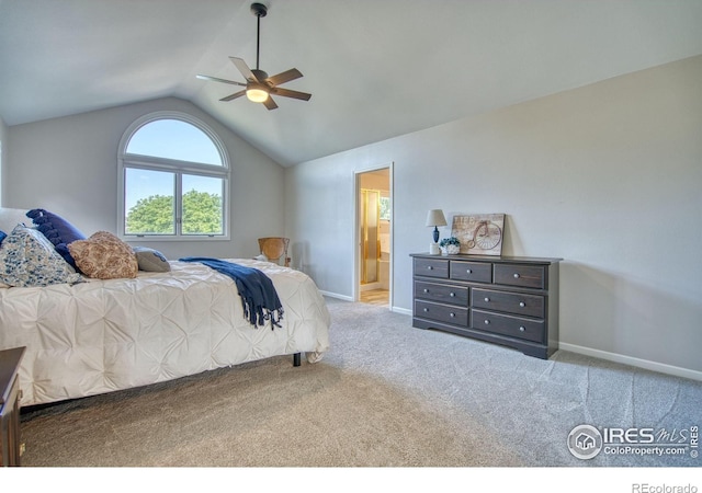 920 Palomino Way, Windsor, CO 80550 - photo 23