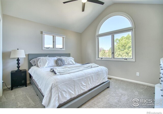 920 Palomino Way, Windsor, CO 80550 - photo 25