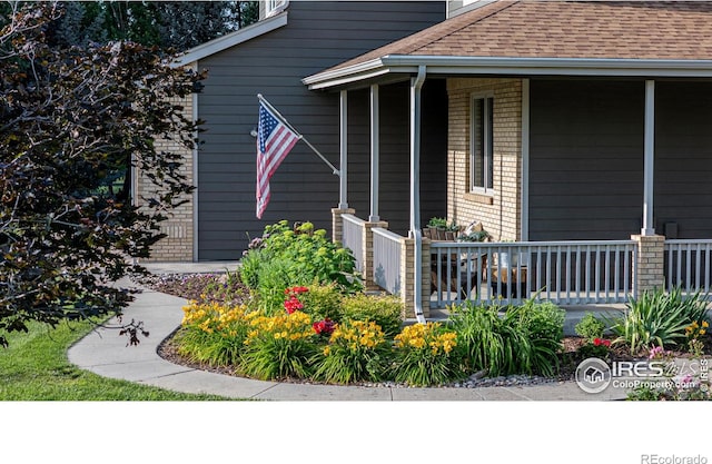 920 Palomino Way, Windsor, CO 80550 - photo 30