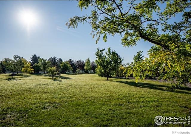 920 Palomino Way, Windsor, CO 80550 - photo 35