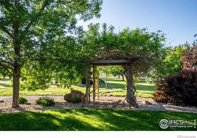 920 Palomino Way, Windsor, CO 80550 - photo 36
