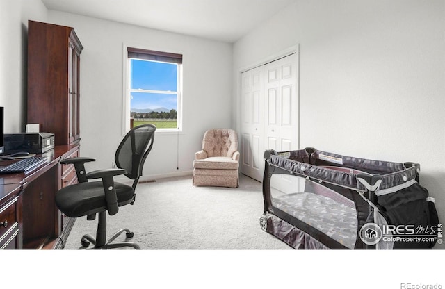 75 Pleasant View Dr, Loveland, CO 80537 - photo 18