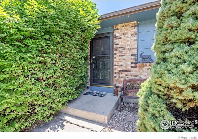 729 Parkview Mountain Dr, Windsor, CO 80550 - photo 4