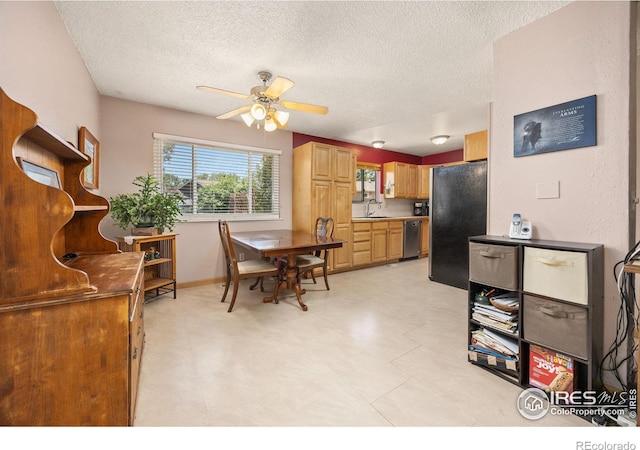 729 Parkview Mountain Dr, Windsor, CO 80550 - photo 9