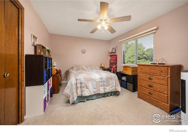 729 Parkview Mountain Dr, Windsor, CO 80550 - photo 12