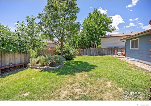 729 Parkview Mountain Dr, Windsor, CO 80550 - photo 27