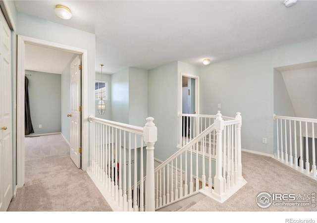 3238 Honeysuckle Ct, Fort Collins, CO 80521 - photo 12