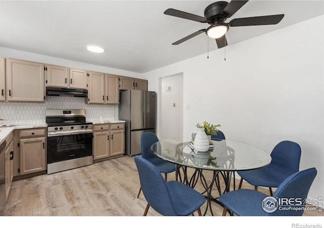 530 Mount Evans St, Longmont, CO 80504 - kitchen featuring appliances with stainless steel finishes, under cabinet range hood, light wood-style floors, light countertops, and tasteful backsplash