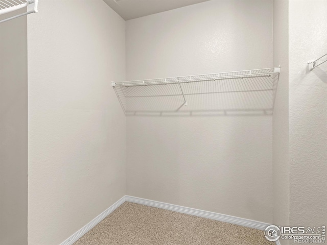 3038 County Fair Ln Unit 1, Fort Collins, CO 80528 - spacious closet with carpet floors