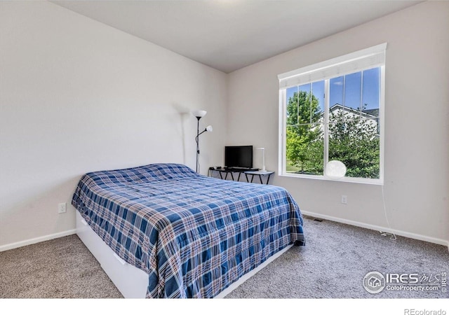 6516 Empire Ave, Frederick, CO 80516 - photo 7