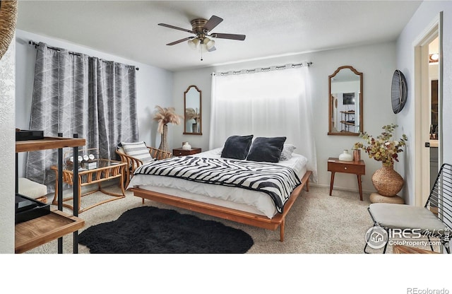 520 E 28th Street Rd, Greeley, CO 80631 - photo 9