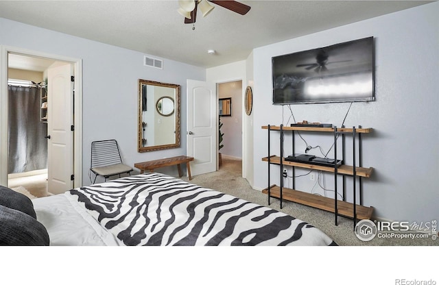 520 E 28th Street Rd, Greeley, CO 80631 - photo 10
