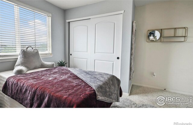 520 E 28th Street Rd, Greeley, CO 80631 - photo 14