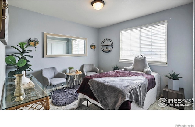 520 E 28th Street Rd, Greeley, CO 80631 - photo 15