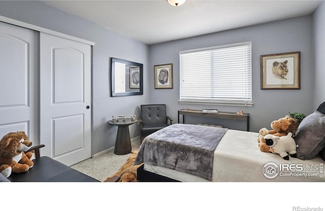 520 E 28th Street Rd, Greeley, CO 80631 - photo 16