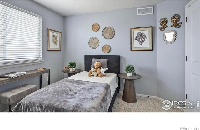 520 E 28th Street Rd, Greeley, CO 80631 - photo 17