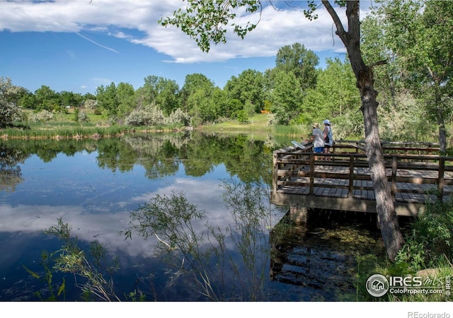 1830 W Centennial Dr Unit 108, Louisville, CO 80027 - dock with a water view