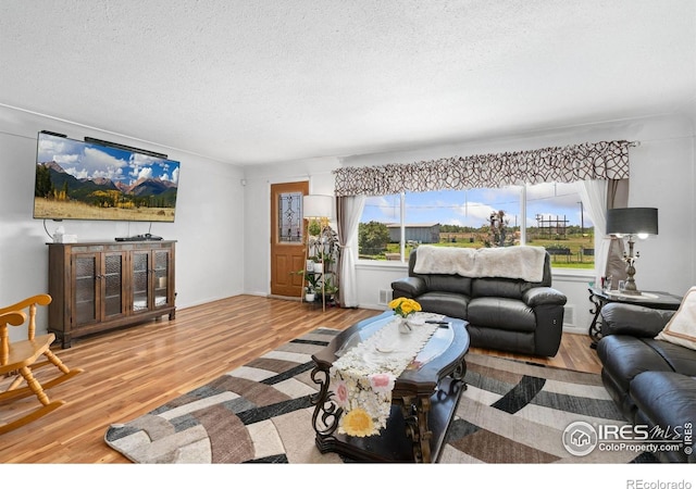 24250 County Road 60 1/2, Greeley, CO 80631 - photo 13