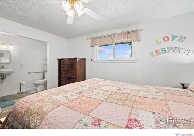 24250 County Road 60 1/2, Greeley, CO 80631 - photo 19