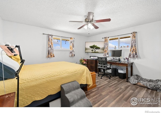 24250 County Road 60 1/2, Greeley, CO 80631 - photo 21