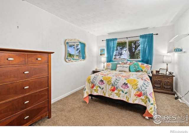 24250 County Road 60 1/2, Greeley, CO 80631 - photo 23