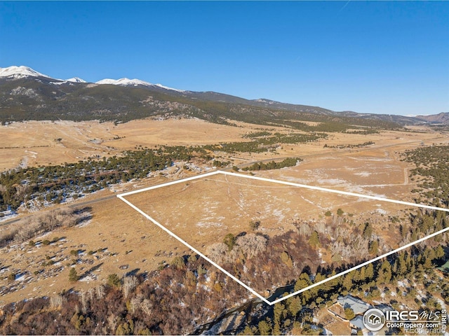 33980 US Highway 24 N, Buena Vista, CO 81211 - photo 4