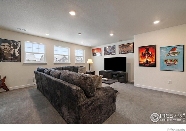 848 Sandstone Cir, Erie, CO 80516 - photo 24