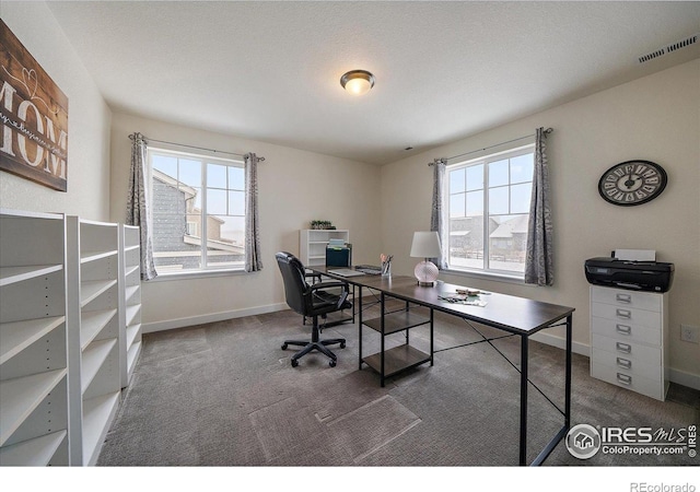 848 Sandstone Cir, Erie, CO 80516 - photo 31