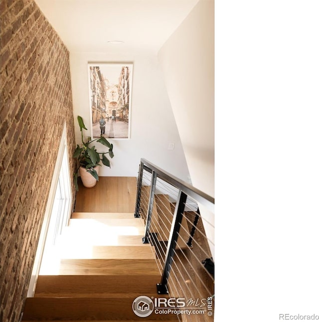 4452 Stuart St, Denver, CO 80212 - photo 20