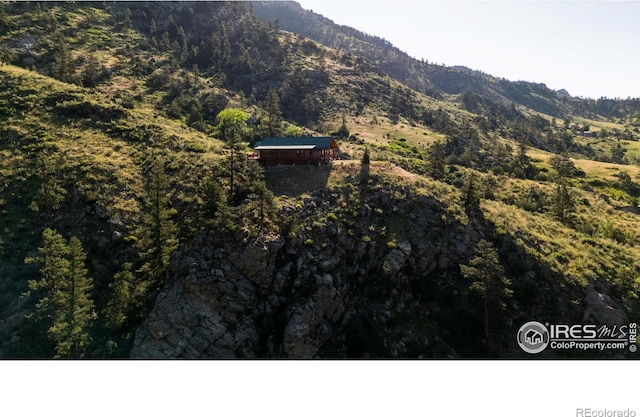 12547 County Road 43, Drake, CO 80515 - photo 3