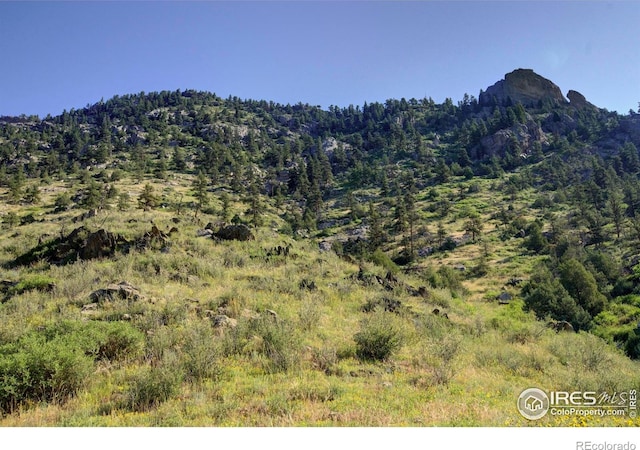 12547 County Road 43, Drake, CO 80515 - photo 15