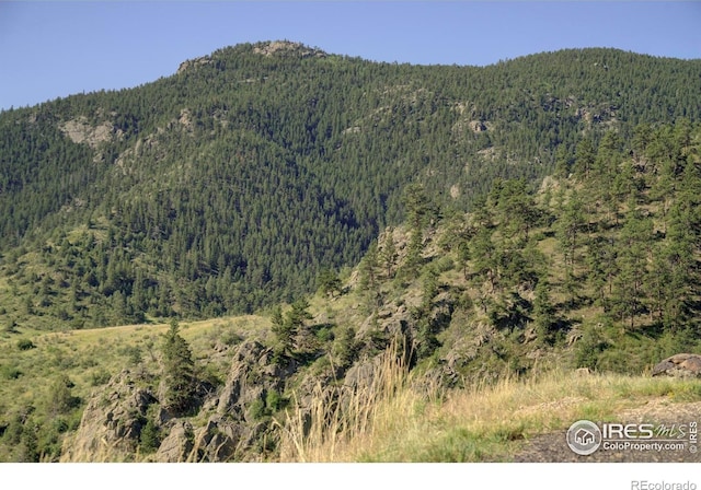 12547 County Road 43, Drake, CO 80515 - photo 20