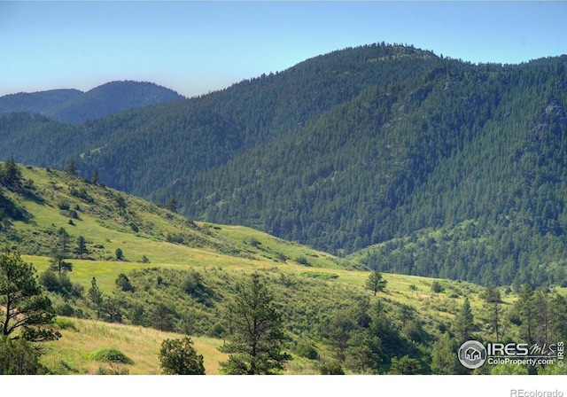 12547 County Road 43, Drake, CO 80515 - photo 21