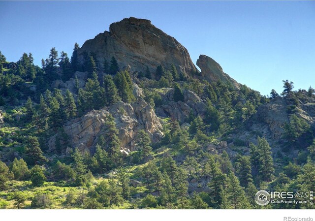 12547 County Road 43, Drake, CO 80515 - photo 22