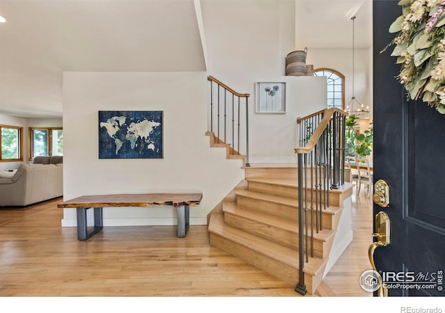 257 Turman Dr, Fort Collins, CO 80525 - photo 3