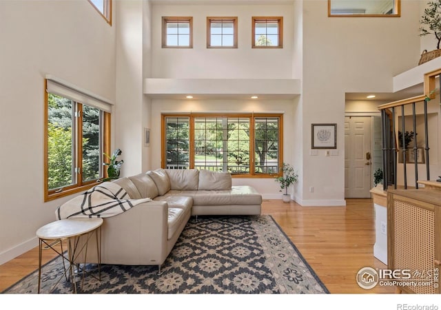 257 Turman Dr, Fort Collins, CO 80525 - photo 6