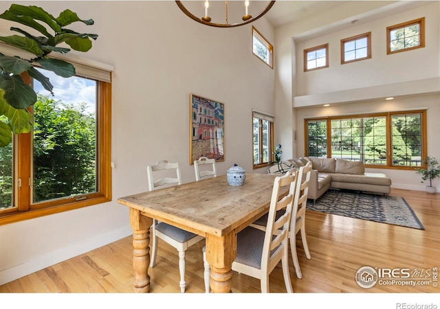 257 Turman Dr, Fort Collins, CO 80525 - photo 8