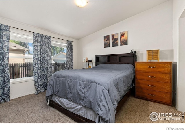 3701 Mckinley Ave, Wellington, CO 80549 - photo 11
