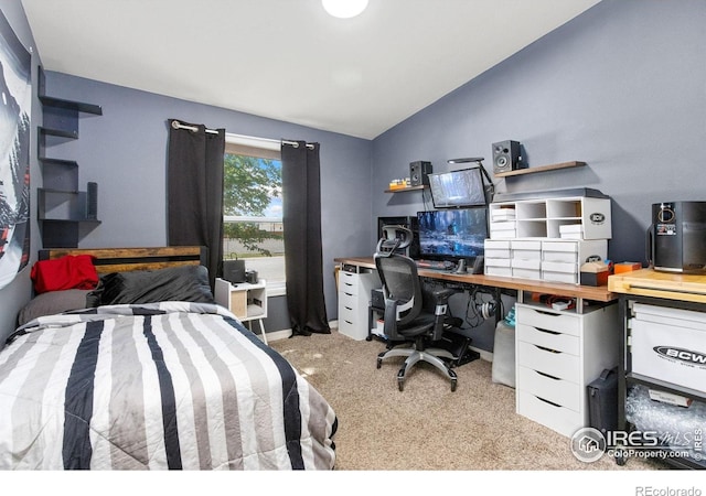 3701 Mckinley Ave, Wellington, CO 80549 - photo 15