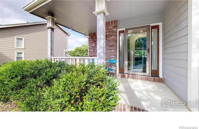 6706 Avondale Rd, Fort Collins, CO 80525 - photo 3