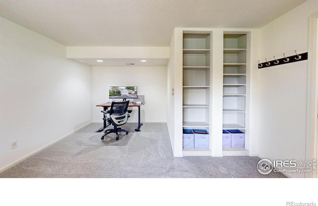 6706 Avondale Rd, Fort Collins, CO 80525 - photo 24