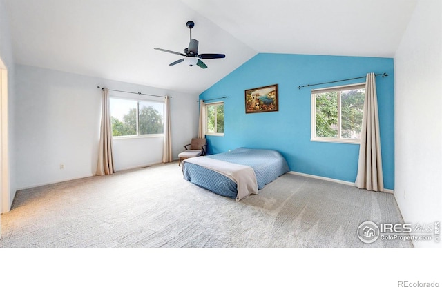 6706 Avondale Rd, Fort Collins, CO 80525 - photo 30