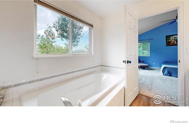 6706 Avondale Rd, Fort Collins, CO 80525 - photo 33